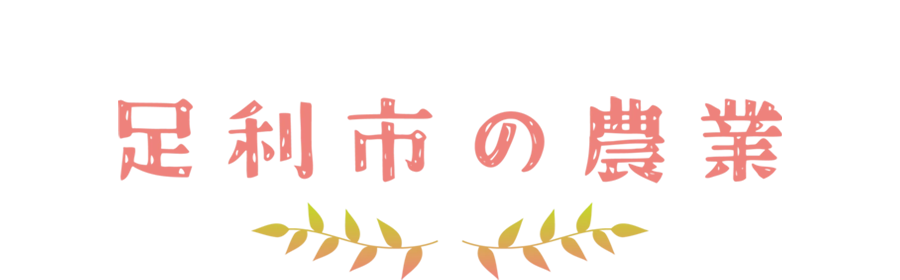 足利市の農業