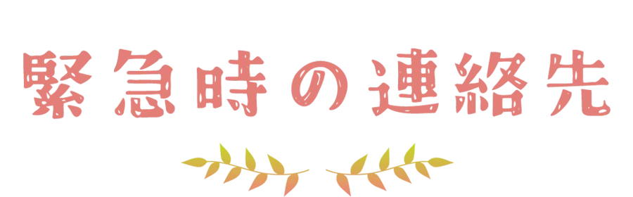 緊急時の連絡先