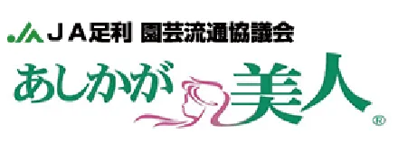 足利美人バナー
