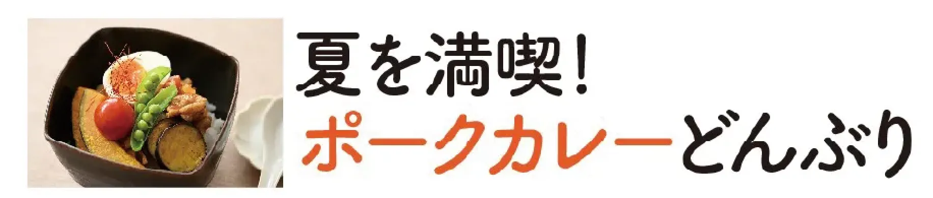 夏を満喫！ポークカレーどんぶり